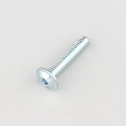 Vis 6x30 mm tête BTR bombée embase (à l'unité)