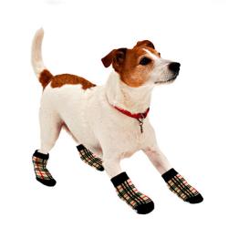 Chaussettes à carreaux pour chien, petit modèle