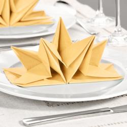 Lot de 12 serviettes, beige