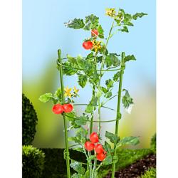 Support à plantes