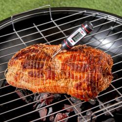 Thermomètre pour grillades