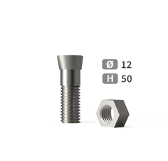 Boulon avec écrou TC2M M12x50 mm - 12.9